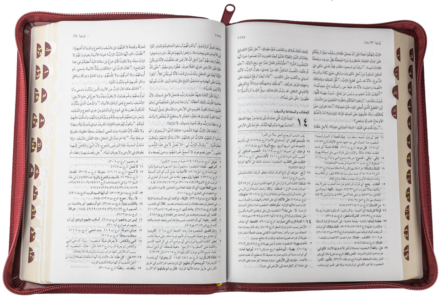 الكتاب المقدس بالخلفيات التوضيحية