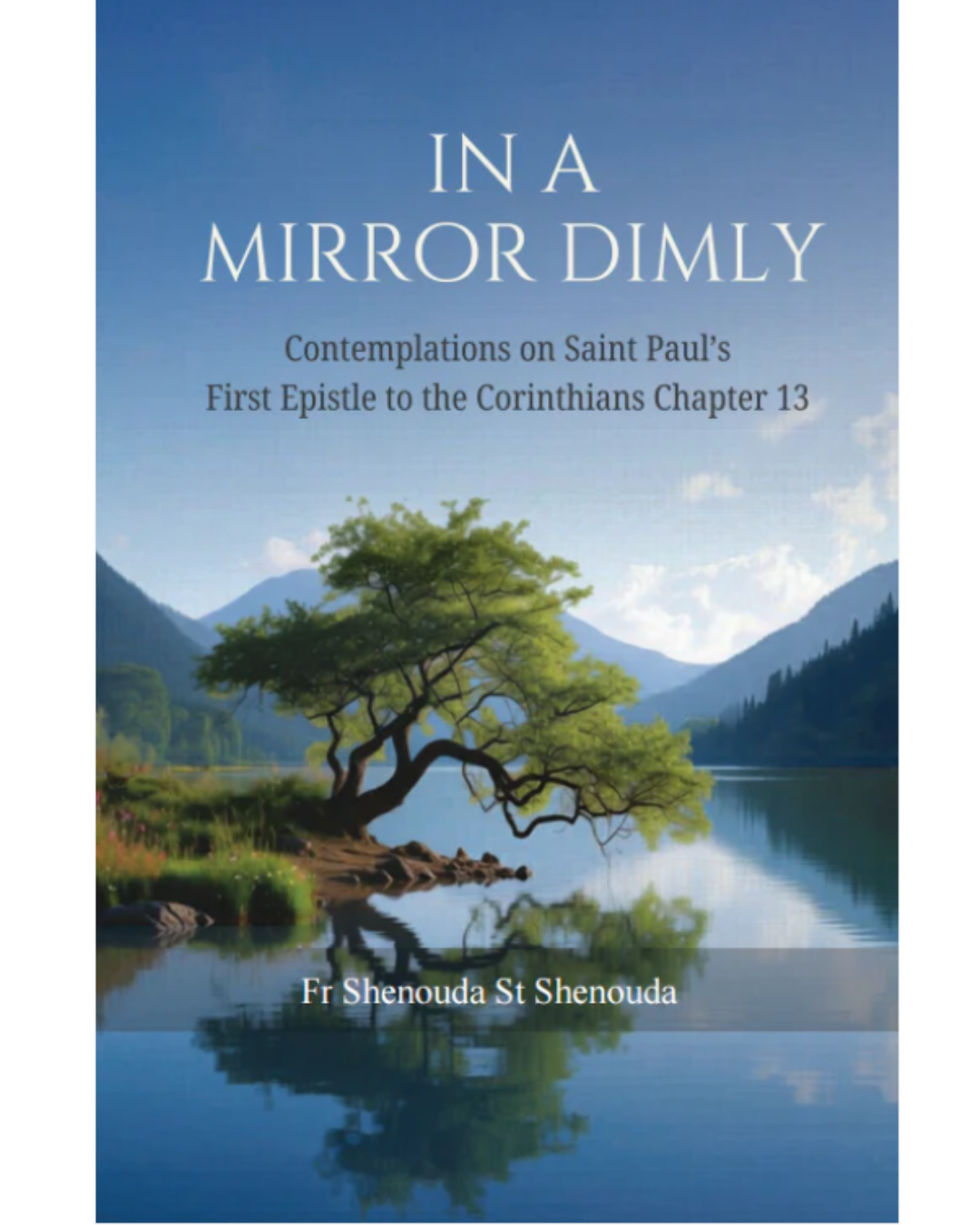 In a Mirror Dimly
