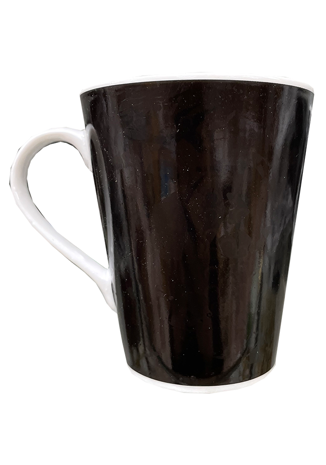 MAGIC MUG