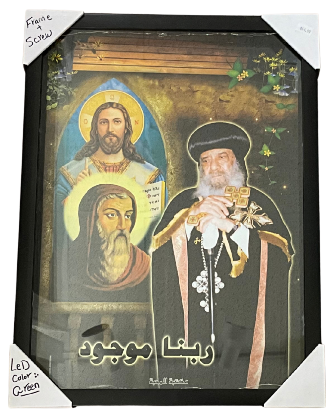 Pope Shenoda III
