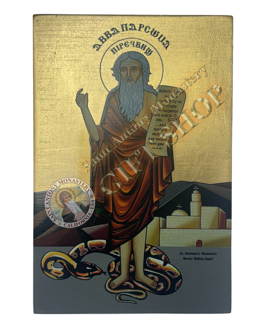 Coptic Icon of St. Barsoum the "Naked"