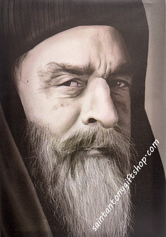 Pope Kyrillos - Canvas